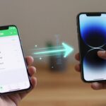 LINE 機種変更 引き継ぎ Android から iPhone